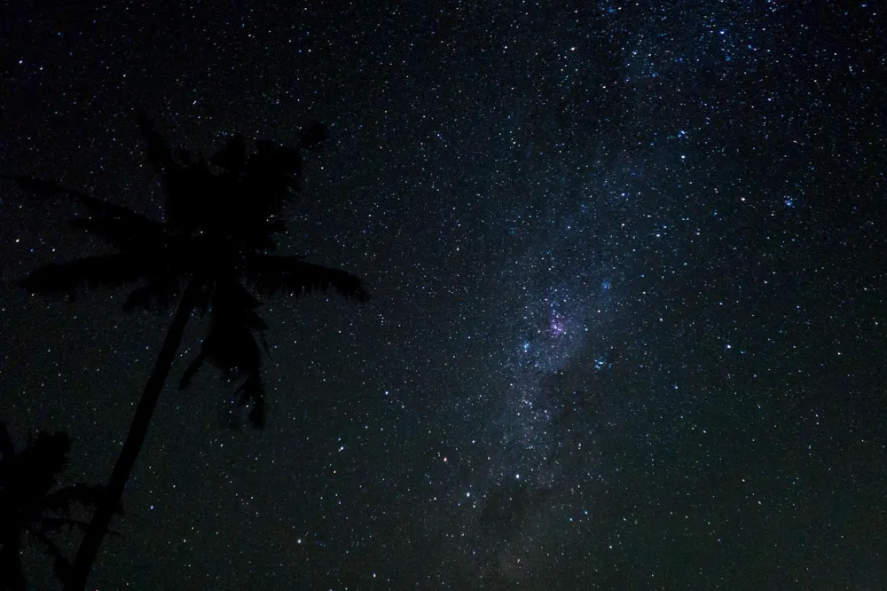 Nyepi In Bali