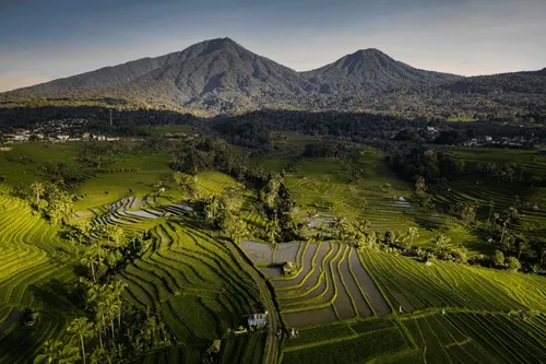 Jatiluwih rice terraces Bali UNESCO site with expansive green landscapes and mountain views