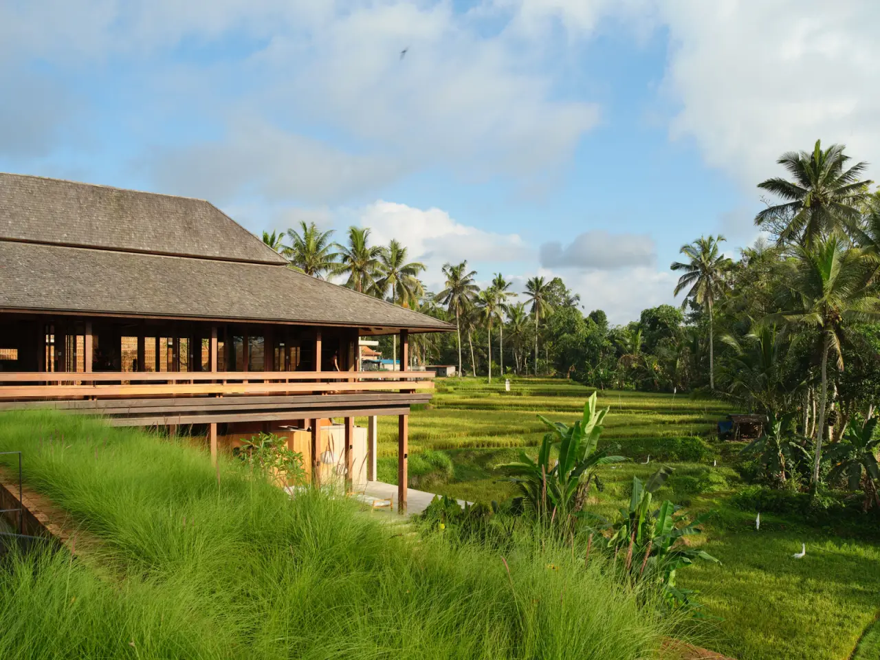 House of Padi — photo 3