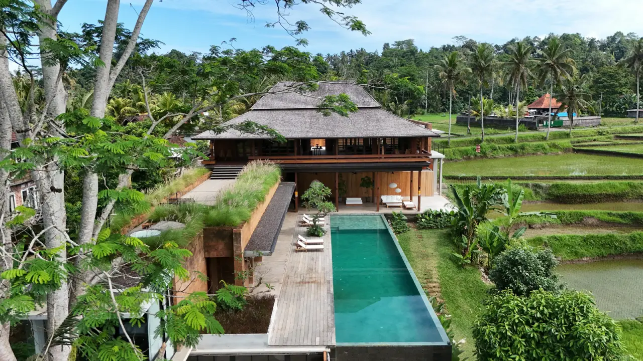 House of Padi — photo 1
